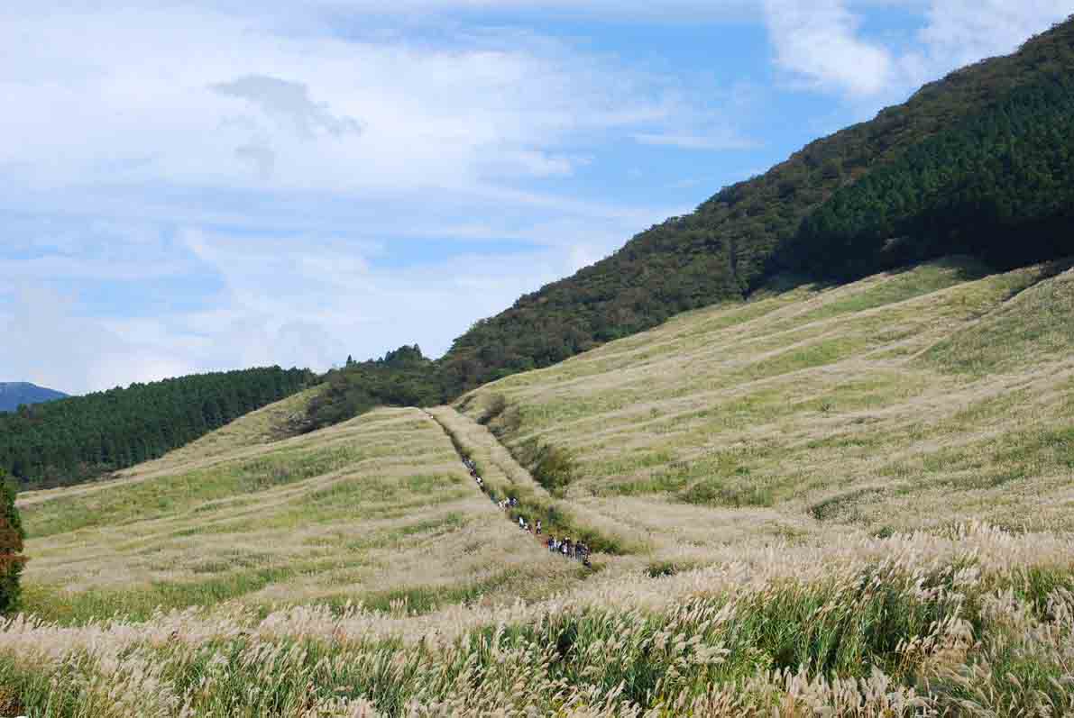 お知らせ「9/18 箱根の秋の風物詩「箱根仙石原すすきまつり」開催」のサムネイル