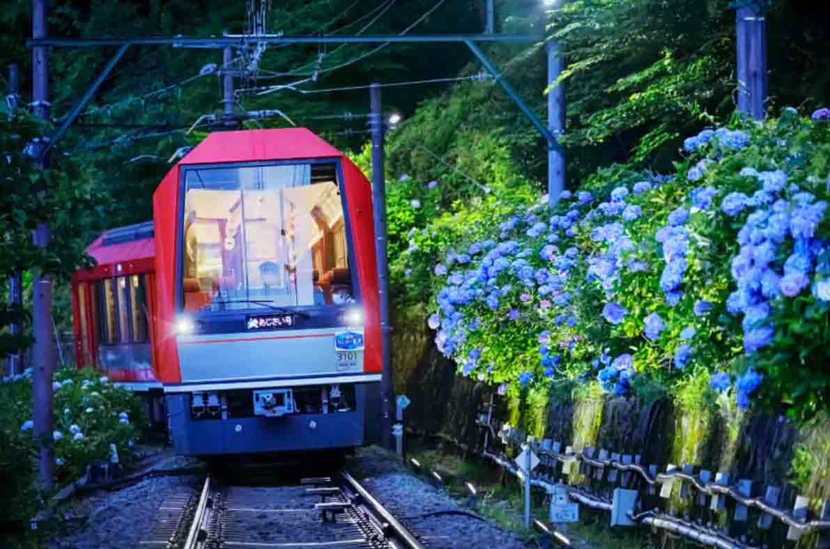 「箱根の風物詩「箱根あじさい電車」が今年も運行！座席指定の「夜のあじさい号」は6/15〜スタート」のメイン画像