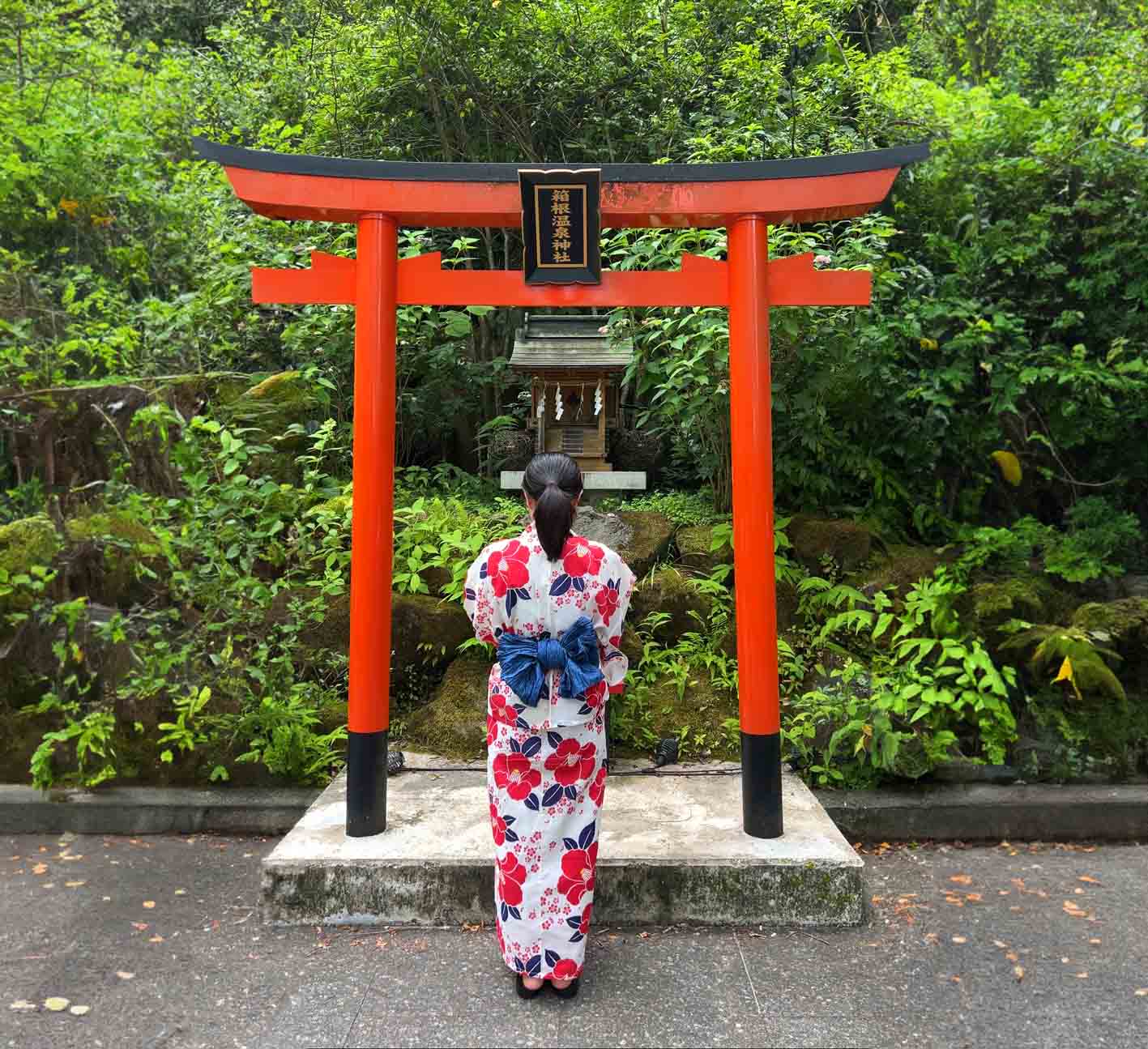 「【箱根小涌園 Activity Base】箱根の自然・文化を楽しむ非日常体験」のメイン画像